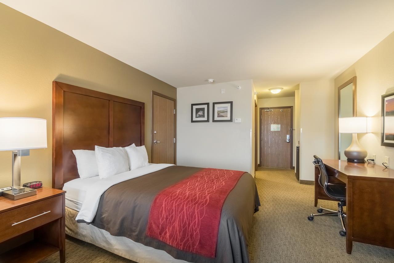 Comfort Inn & Suites Райфъл Екстериор снимка